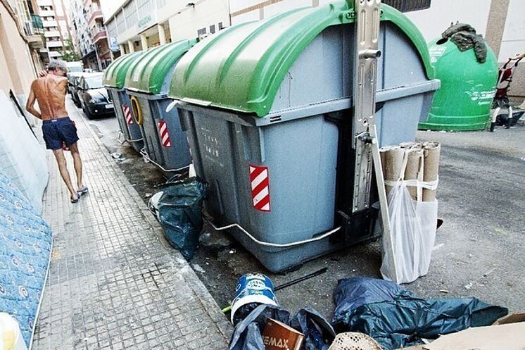 Una perrita aparece gravemente herida y abandonada en bolsas de basura en Inca