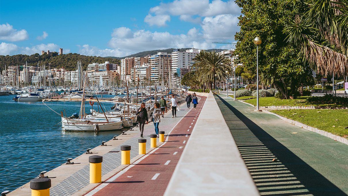 El triatlón del domingo corta el Paseo Marítimo de Palma y altera seis líneas de autobús