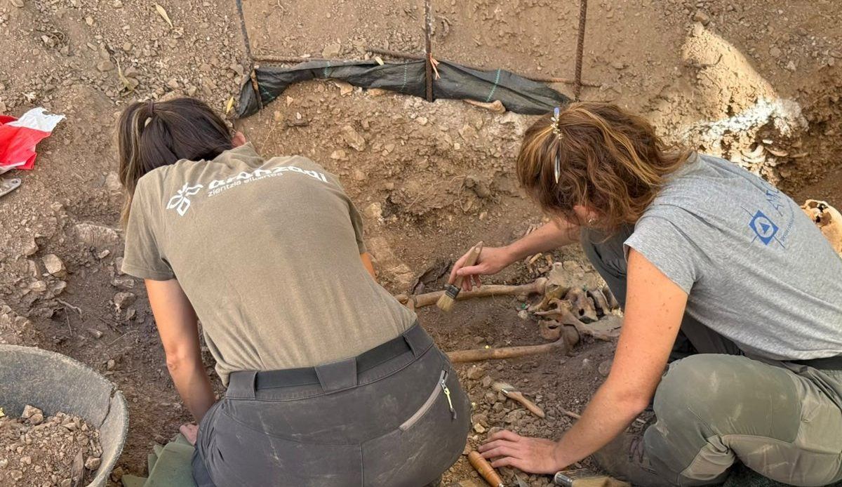 Desenterran en Son Servera los restos de dos milicianos de la Batalla de Mallorca con insignias militares y medallas