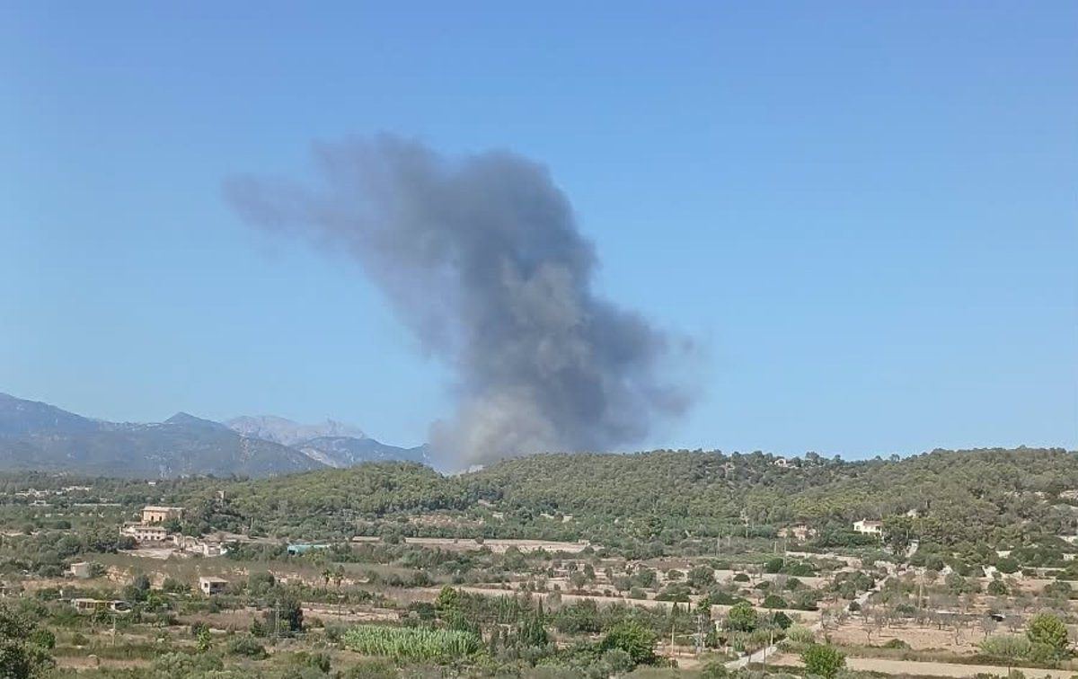 Tres días de lucha contra las llamas: los bomberos logran extinguir el incendio que arrasó unas vaquerías de Santa Maria del