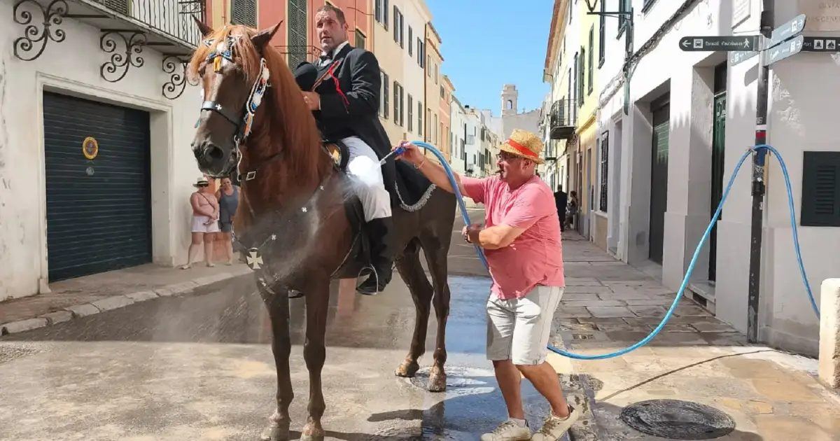 El calor extremo obliga a repensar el papel de los caballos en las fiestas de Maó