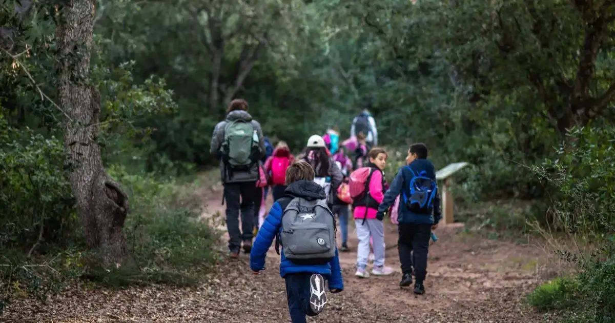 Menorca convierte sus aulas en laboratorios del planeta: casi 7.500 escolares aprenden a cuidar la isla