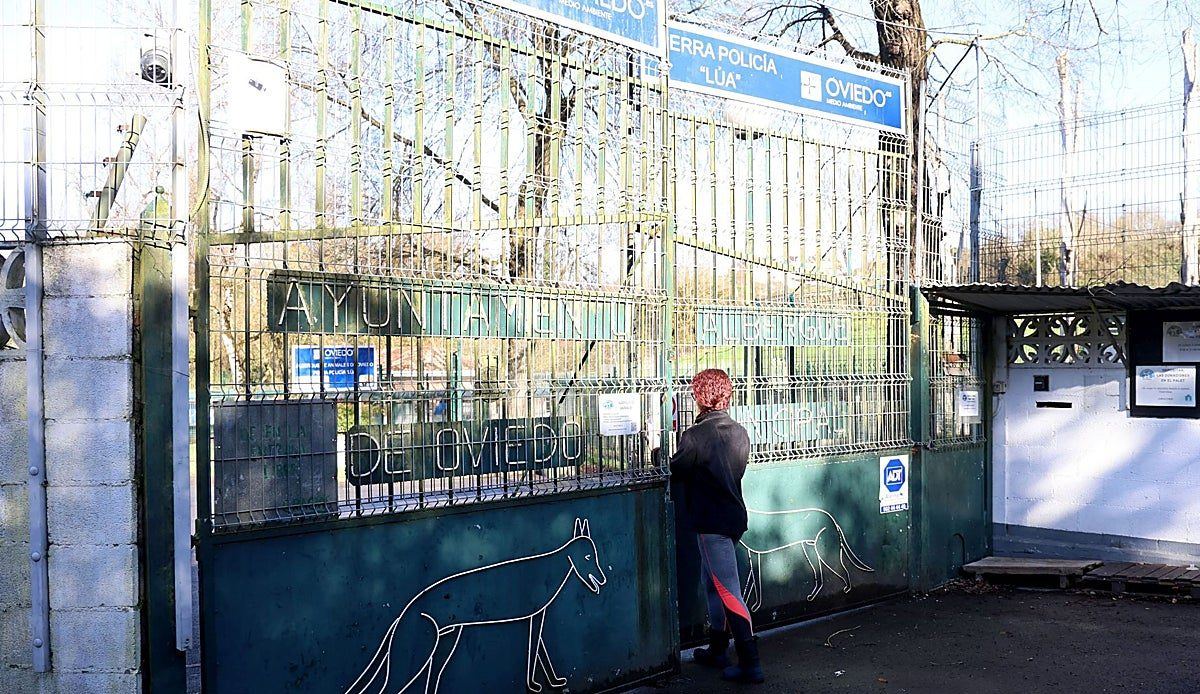 El albergue de animales de Oviedo se queda sin gestor y el Ayuntamiento convocará un nuevo concurso de forma inmediata