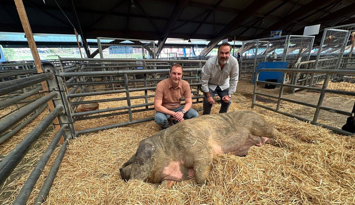 Pumares exige al Gobierno asturiano que abra el diálogo con los ganaderos y devuelva el vacuno a las ferias