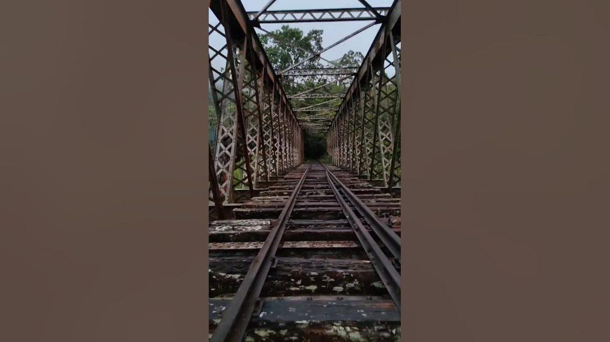 Un puente ferroviario olvidado en Oviedo podría convertirse en clave para la accesibilidad del paseo de Valdeflora
