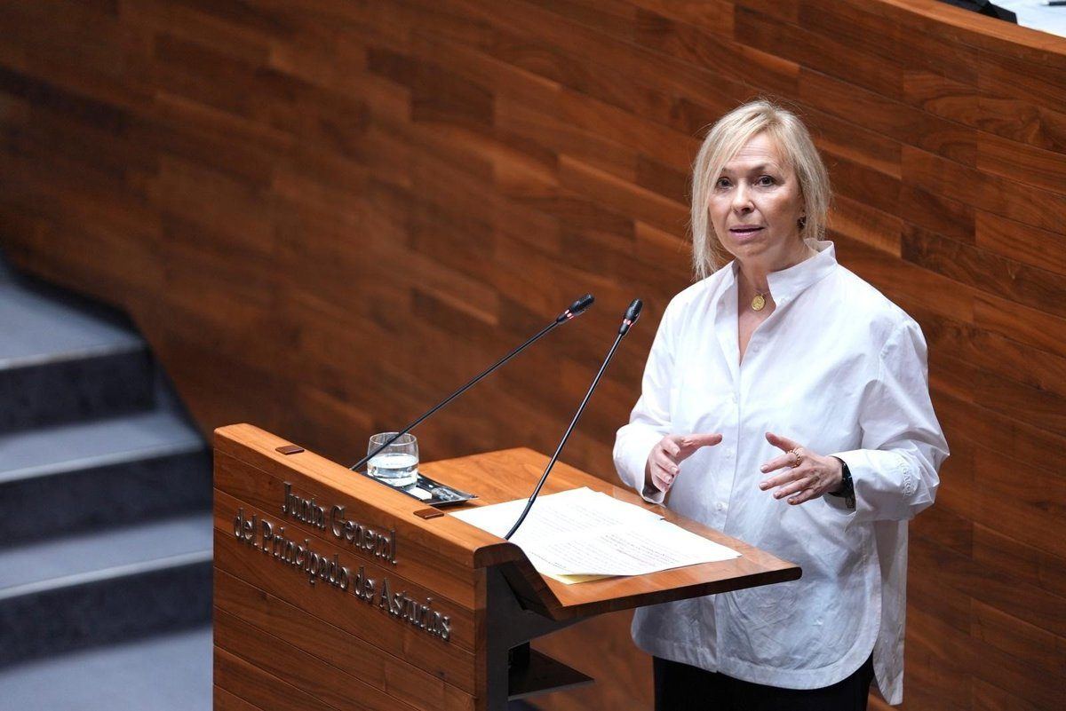 Vox pide que Barbón y Peláez asuman el escándalo de Sograndio: "No basta con cesar a la directora"