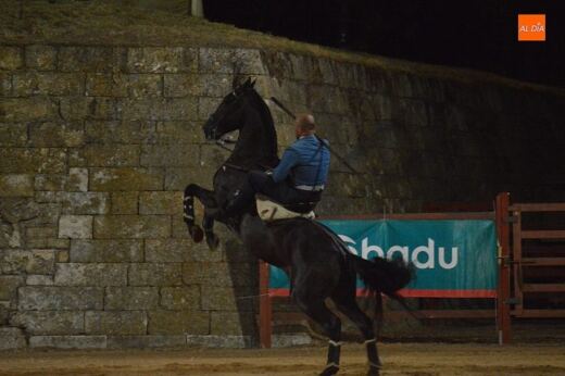 Ciudad Rodrigo celebra por todo lo alto el 25 aniversario de su Feria del Caballo con una exhibición ecuestre de lujo