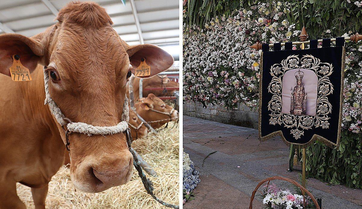 Salamanca arranca sus Ferias y Fiestas 2026 con Salamaq y la novena a la Virgen de la Vega como protagonistas del día