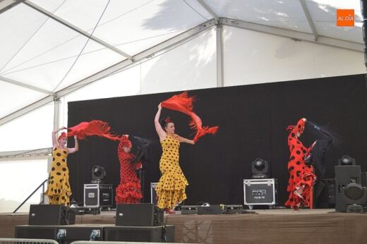 Flamenco y trenzados a caballo: Ciudad Rodrigo vive una mañana de lujo en su Feria del Caballo más especial