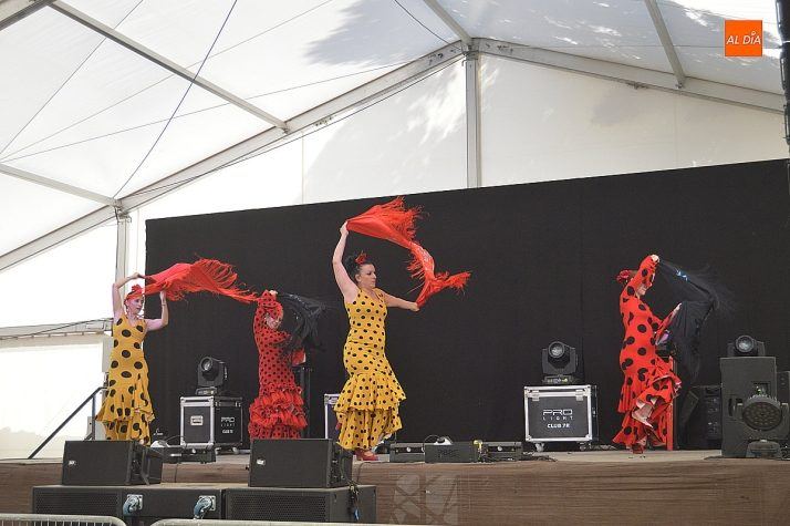 Flamenco y trenzados a caballo: Ciudad Rodrigo vive una mañana de lujo en su Feria del Caballo más especial