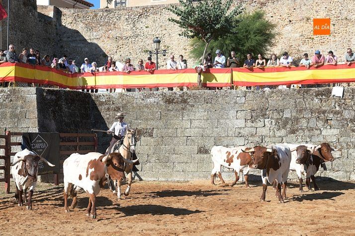 Sergio Muñoz, Christian Teixeita y Jorge Vicente ganan el concurso de apartado de vaca en la gran fiesta ecuestre de Ciudad R