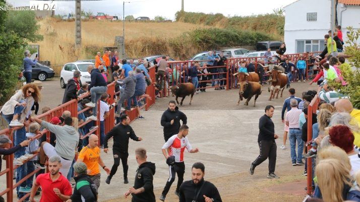 Pereña de la Ribera echa el resto en septiembre con toros, música y tradición en unas fiestas para todos