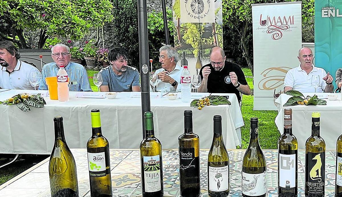 Arnuero acogerá el primer gran congreso del vino cántabro con casi treinta expertos del sector