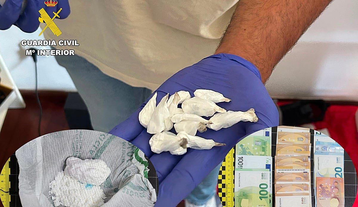 Dos vecinos de Reocín, detenidos tras descubrirse un narcopiso con cocaína y más de mil euros en efectivo