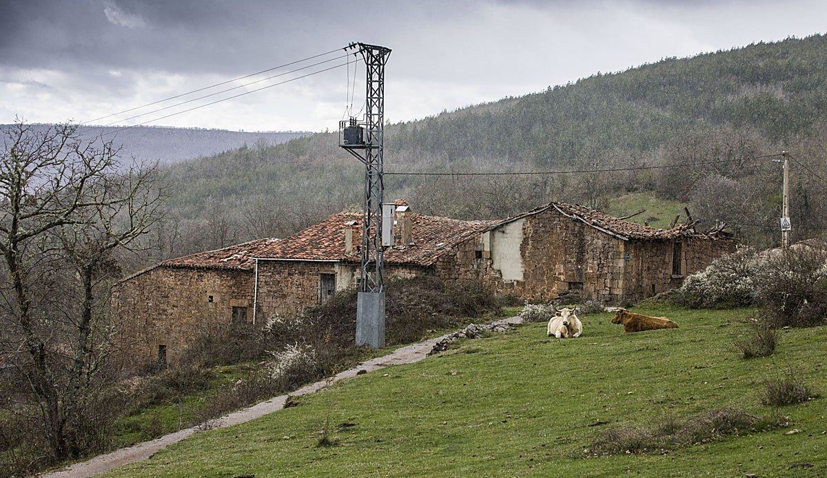 El choque entre PP y PRC por las casas en suelo rústico deja la Ley de Vivienda de Cantabria al borde del naufragio
