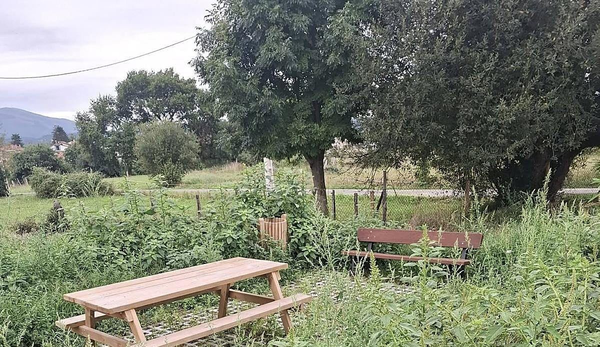 La senda verde de Tanos se convierte en maleza apenas un año después de su inauguración