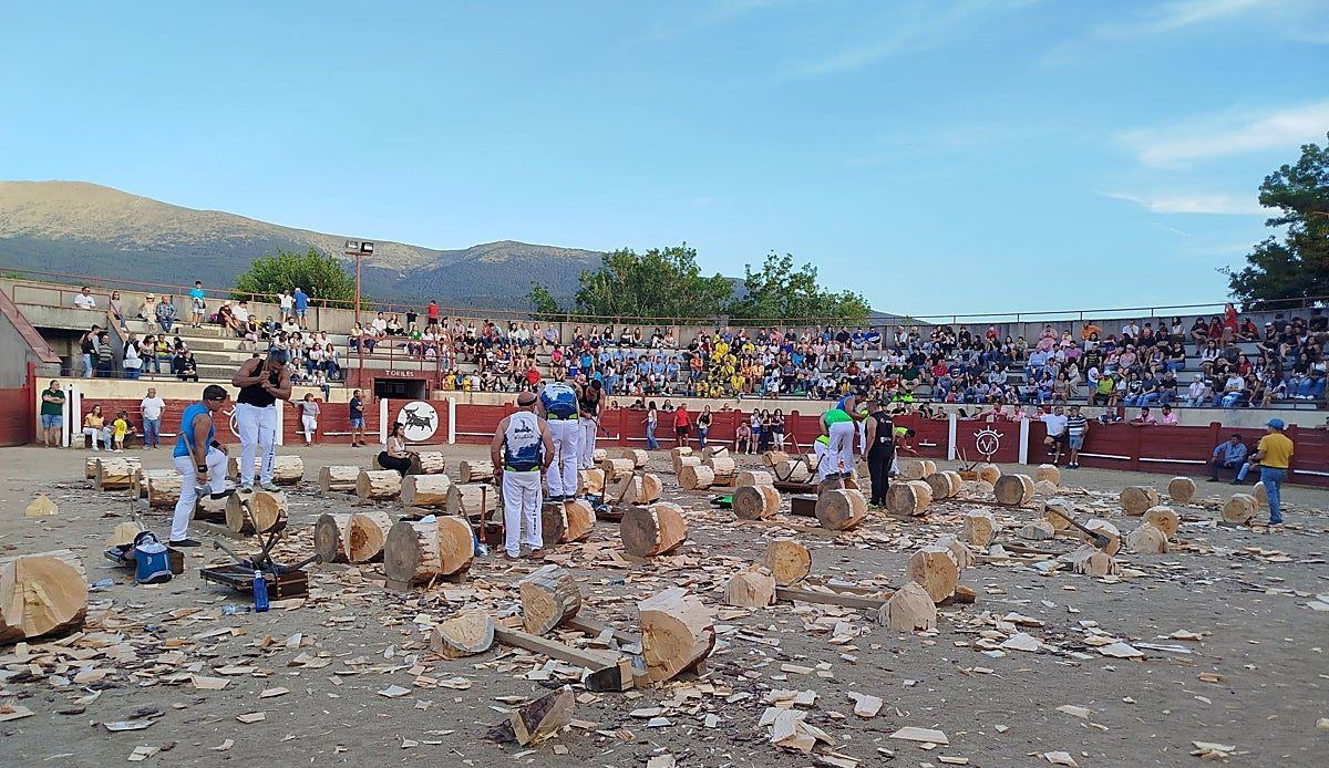 Valsaín celebra sus fiestas con la corta de troncos como seña de identidad irrenunciable