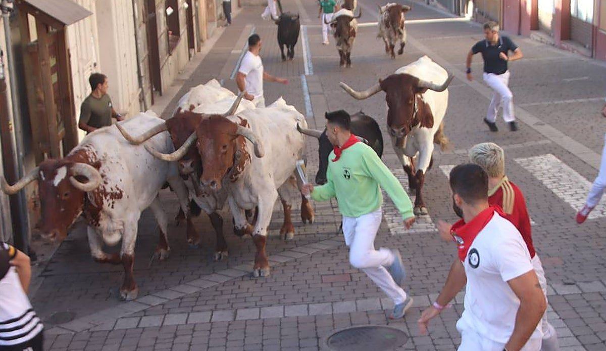 Un toro lesionado en el Embudo desluce el cuarto encierro de Cuéllar, donde solo cinco reses terminaron el recorrido