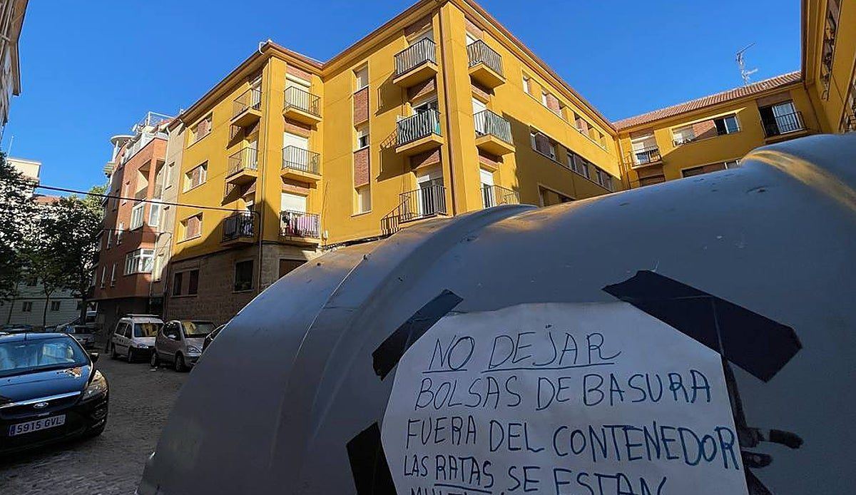 Ratas sin miedo y cucarachas de noche: el barrio segoviano de San José clama contra la plaga