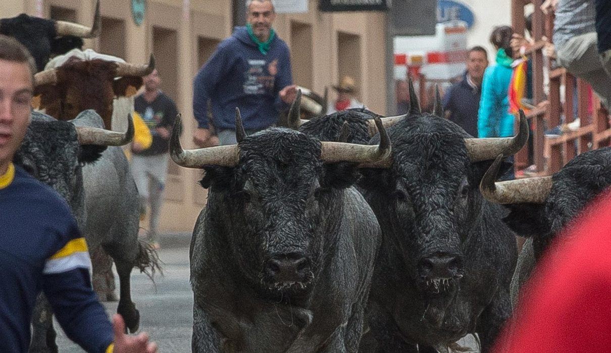 Riaza se viste de fiesta del 12 al 20 de septiembre con encierros, romerías y música en honor a la Virgen del Manto