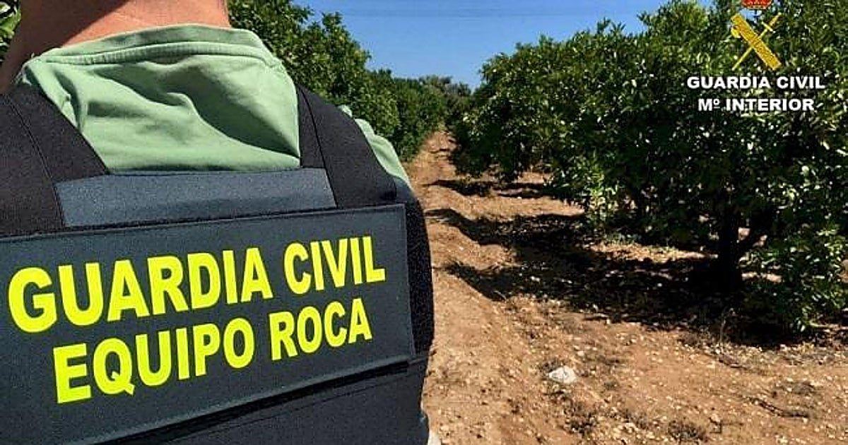 La Guardia Civil desmantela en Guadalcanal una banda que sembraba el pánico entre agricultores y ganaderos de la sierra sevil