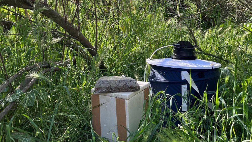 El virus del Nilo no da tregua a Sevilla: 56 infectados, siete hospitalizados y 30 municipios en alerta
