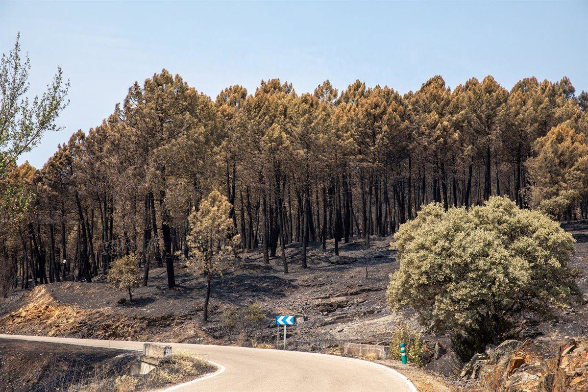 Cincuenta y un días de lucha contra el fuego: La Mierla cierra por fin su pesadilla más larga