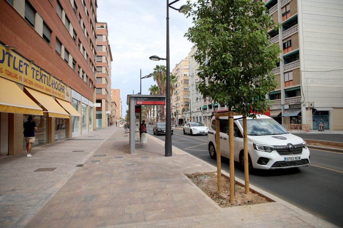 Valencia planta 644 árboles en Giorgeta y Pérez Galdós para convertir las avenidas en refugio de sombra