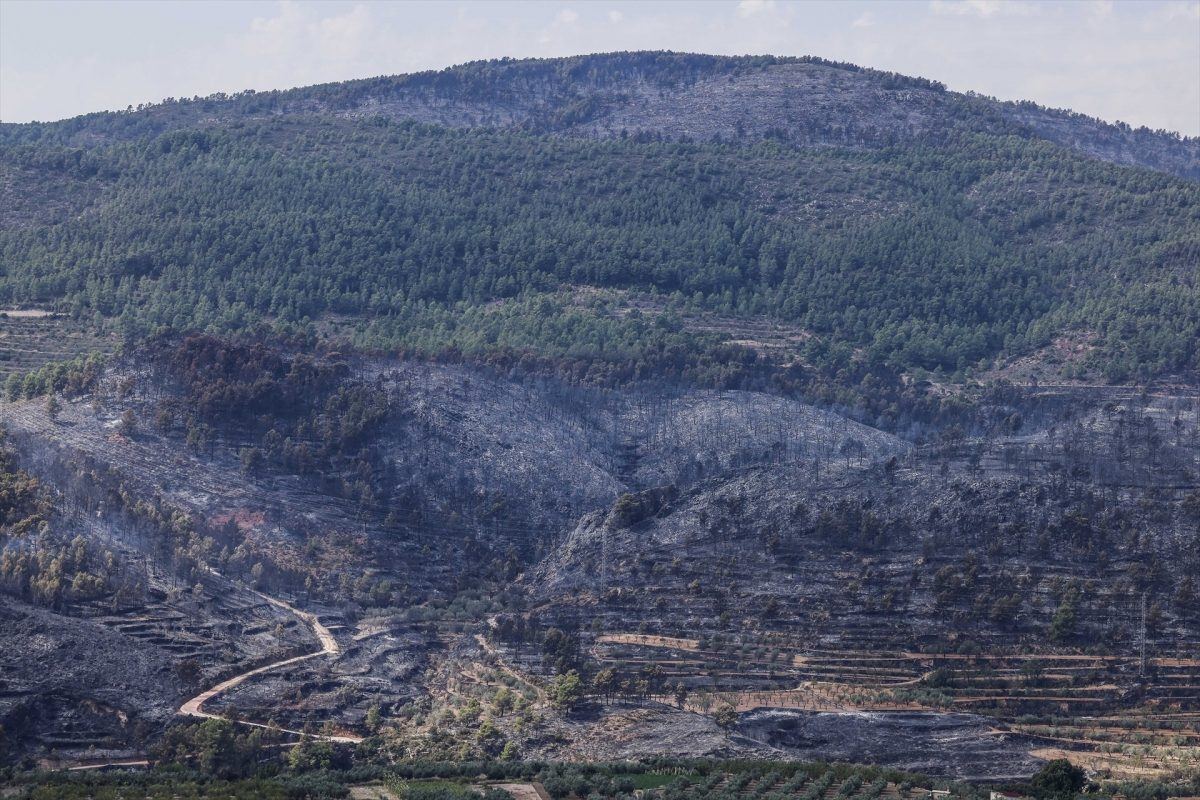 El incendio de Tuéjar se estabiliza tras quemar 835 hectáreas y todo apunta a una causa humana