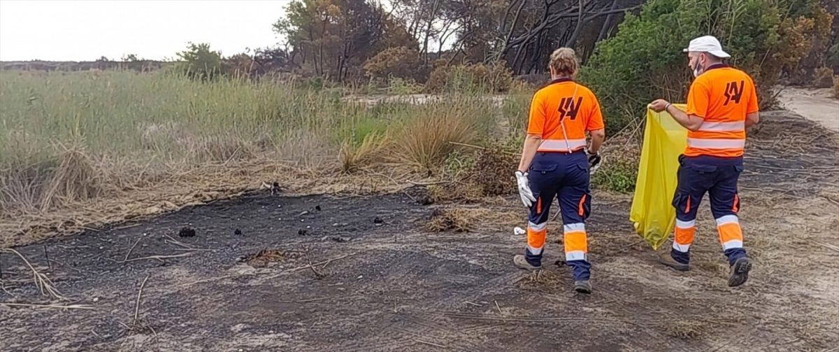 Los operarios municipales recogen 750 kilos de residuos tras el incendio que arrasó la Devesa de El Saler