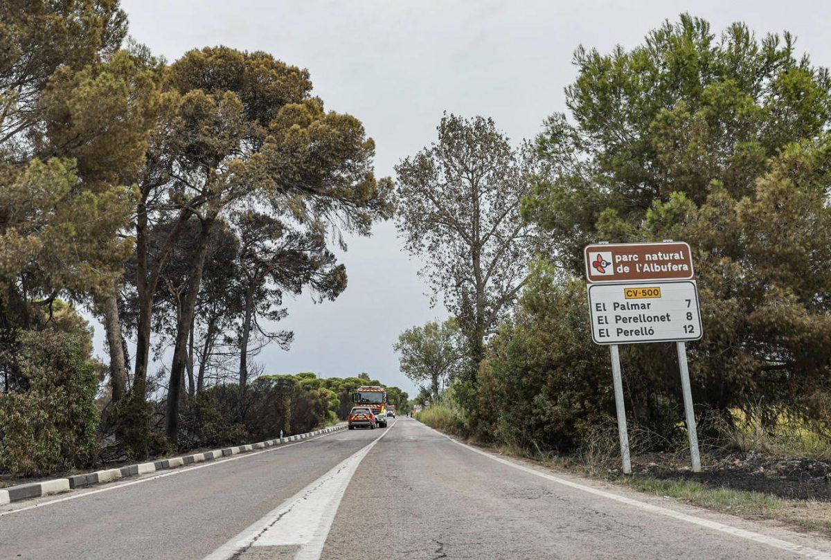 La Devesa de El Saler recupera la normalidad: reabren las carreteras cortadas tras el incendio