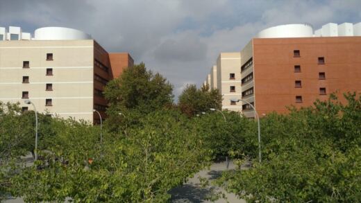 Las universidades de València pasan a clases online por la alerta naranja de lluvias