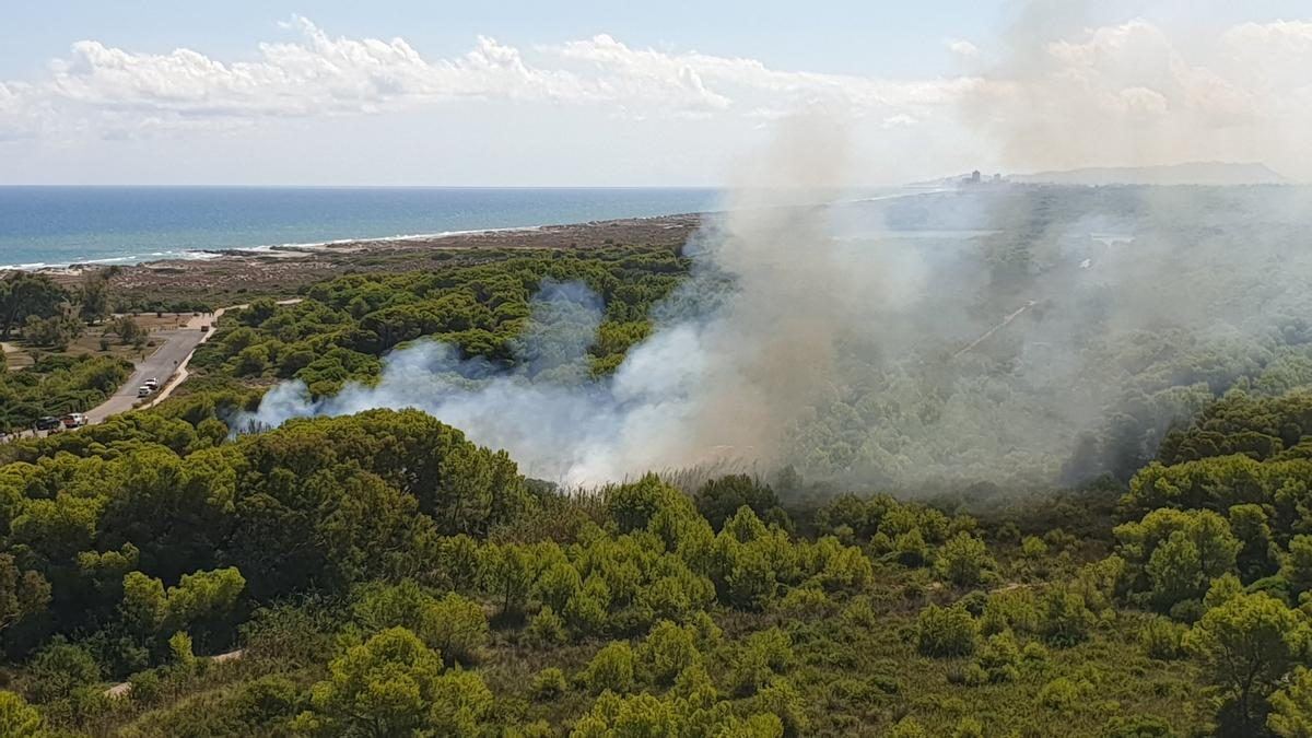 València responde al incendio de la Devesa con rebajas fiscales para la hostelería y acciones judiciales contra los responsab