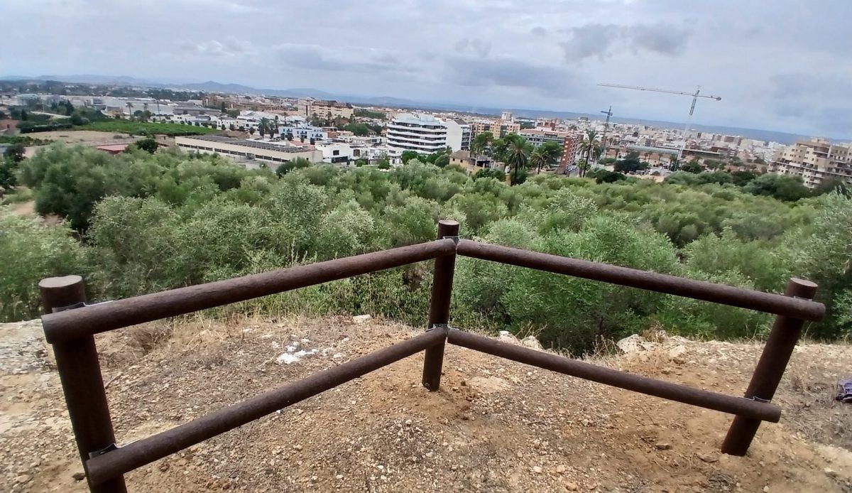 Alzira estrena parque forestal urbano en la Muntanyeta del Salvador con rutas temáticas y mobiliario de plástico reciclado
