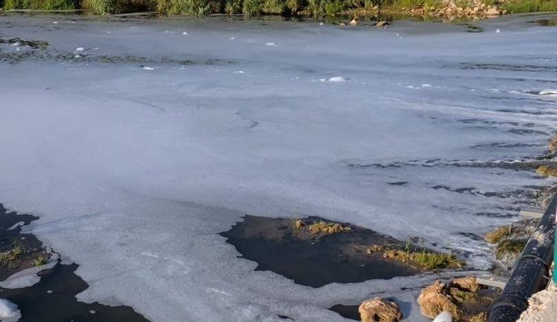 Un incendio industrial envenena diez kilómetros del río Magro y deja un reguero de peces muertos entre Montroy y Llombai