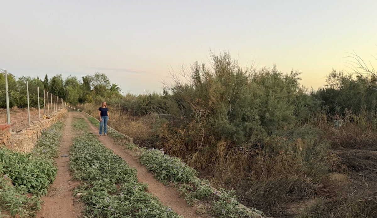 Los municipios del Carraixet se unen para forzar a la CHJ a limpiar el barranco antes de que lleguen las lluvias