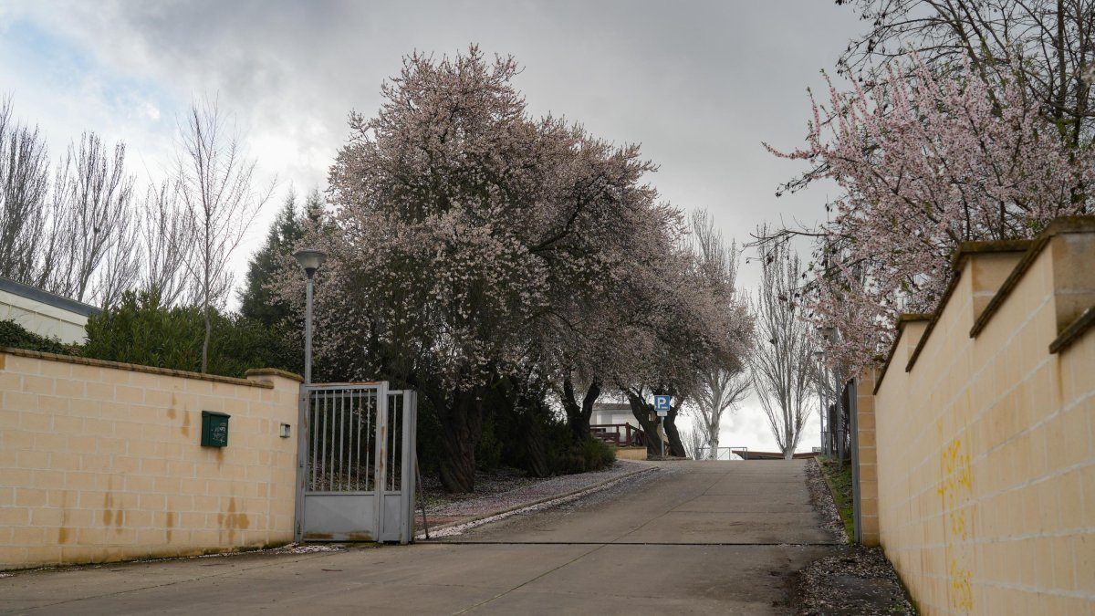 Dos guardias del centro de menores Zambrana acaban en el hospital tras ser agredidos por un interno