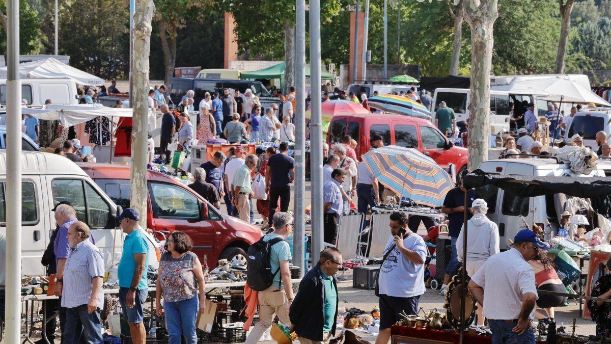 El rastro dominical del Real de la Feria se traslada a Las Delicias por el partido del Valladolid y los carruseles