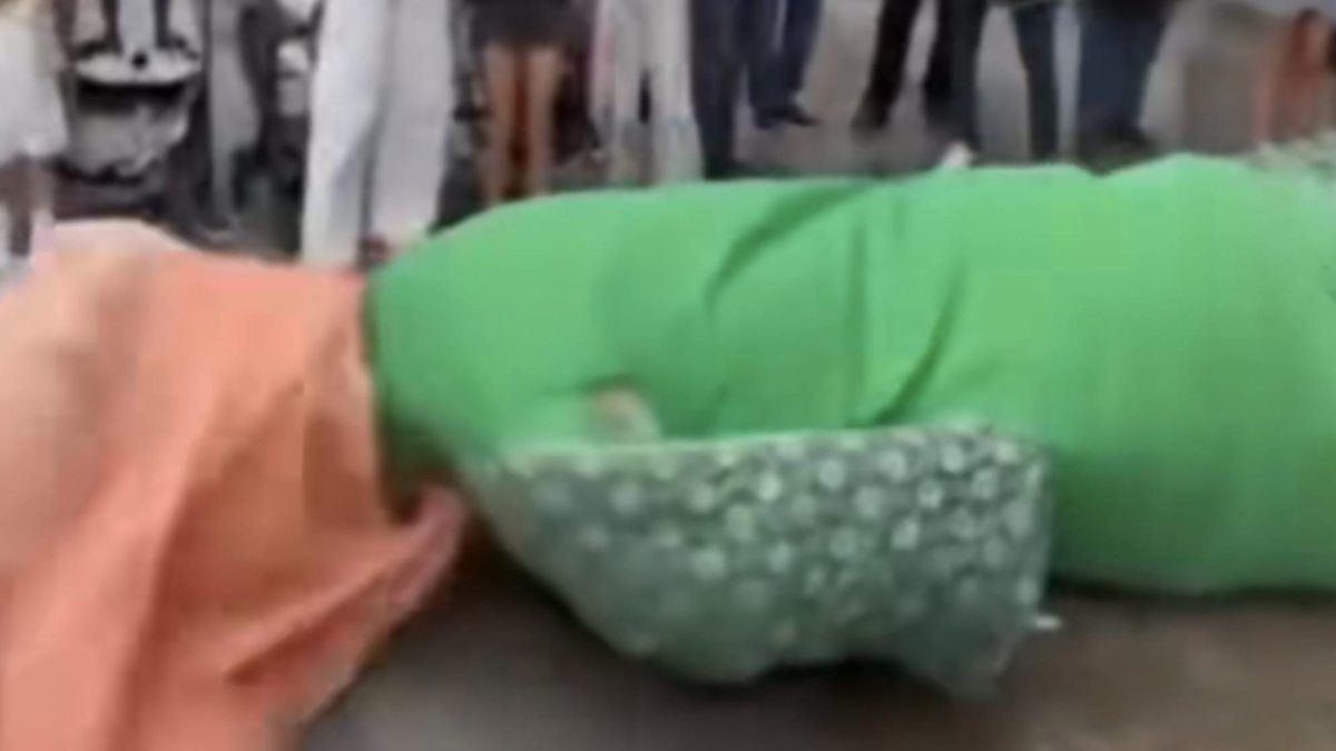 Uno de los gigantes de las fiestas de Valladolid se desploma a los pocos pasos de salir del Ayuntamiento