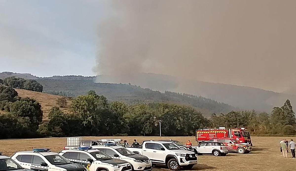 Un incendio en la frontera burgalesa pone en alerta a Artziniega en plena ola de calor