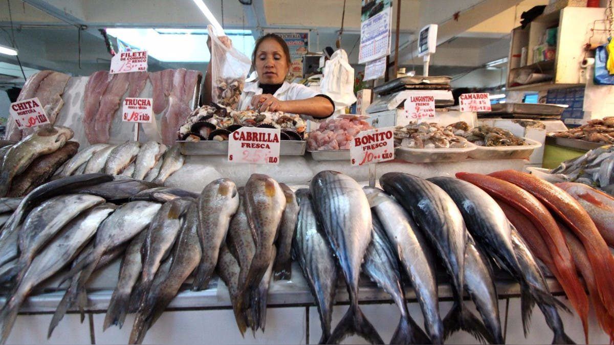 El mercado mayorista de Vitoria recupera 14.000 metros cuadrados tras el cierre de la sección de pescado
