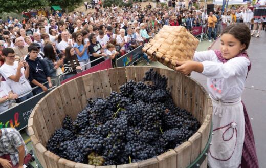 La Rioja Alavesa celebra su vendimia más esperada entre tradición, vino y fiesta popular