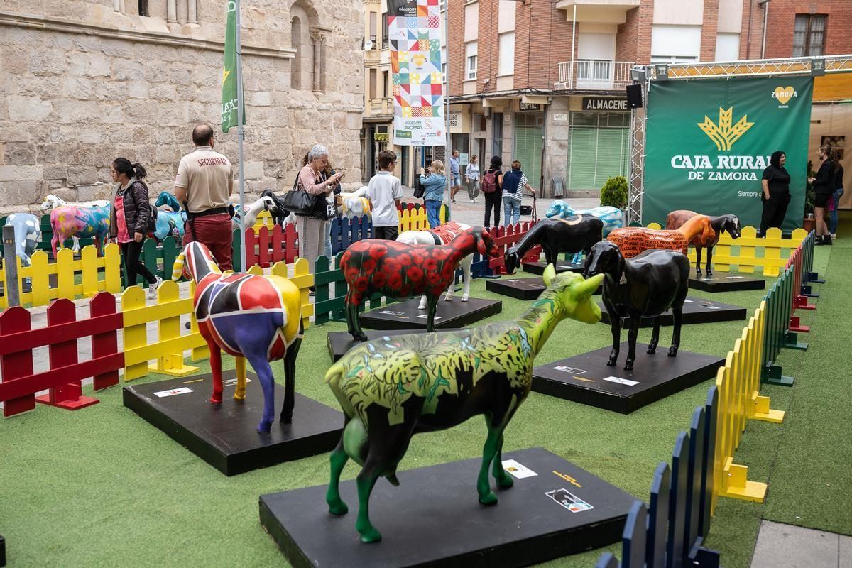 El nombre 'Fromaĝo' esconde un capítulo olvidado de la historia cultural de Zamora