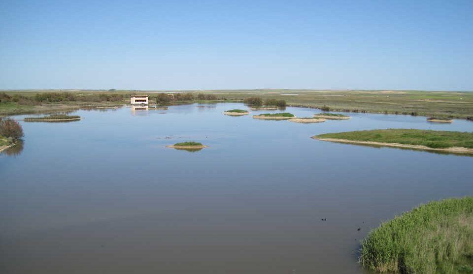 El agua de Villafáfila, en peligro: dos plantas de hidrógeno amenazan con extraer 233 millones de litros al año en Granja de