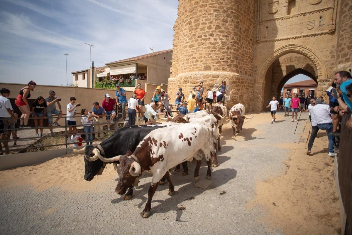 La provincia de Zamora despide el verano con verbenas, encierros y música en media docena de pueblos este fin de semana