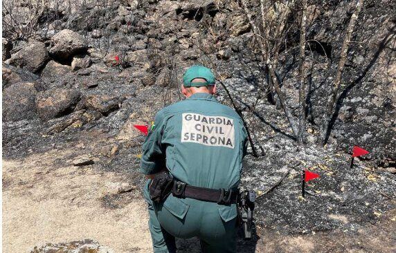 Bruselas impulsa bomberos forestales permanentes y Zamora lleva años pidiendo a gritos exactamente eso