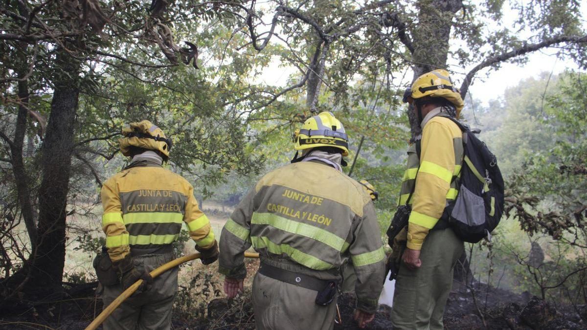 La Carballeda tendrá 14 bomberos forestales todo el año para combatir los incendios