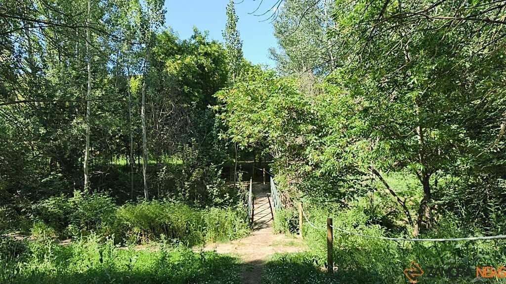 El bosque de Valorio estrena charca: un nuevo refugio acuático para anfibios y reptiles en pleno pulmón verde de Zamora